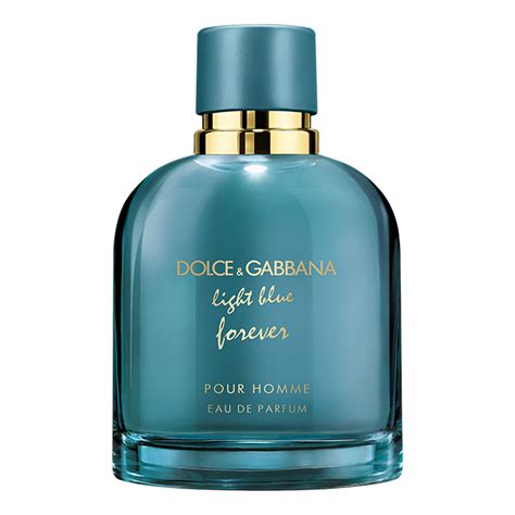 dolce gabbana light blue herren|light blue dolce gabbana fragrantica.